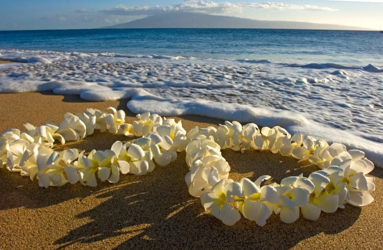 Apartment Beach Lover'S Haven, Cozy Condo With Ocean Views And Free Parking Honolulu