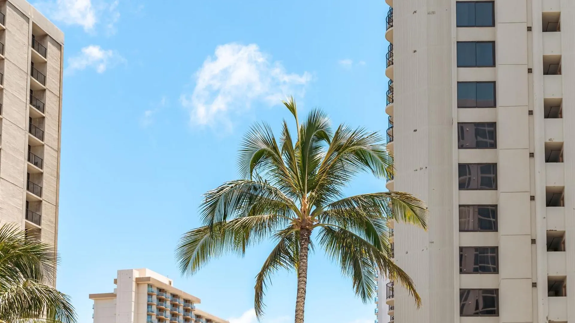 Beach Lover'S Haven, Cozy Condo With Ocean Views And Free Parking Honolulu Apartment
